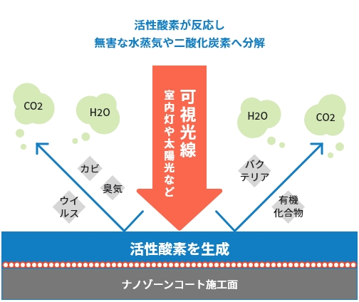 活性酸素が反応し無害な水蒸気や二酸化炭素へ分解